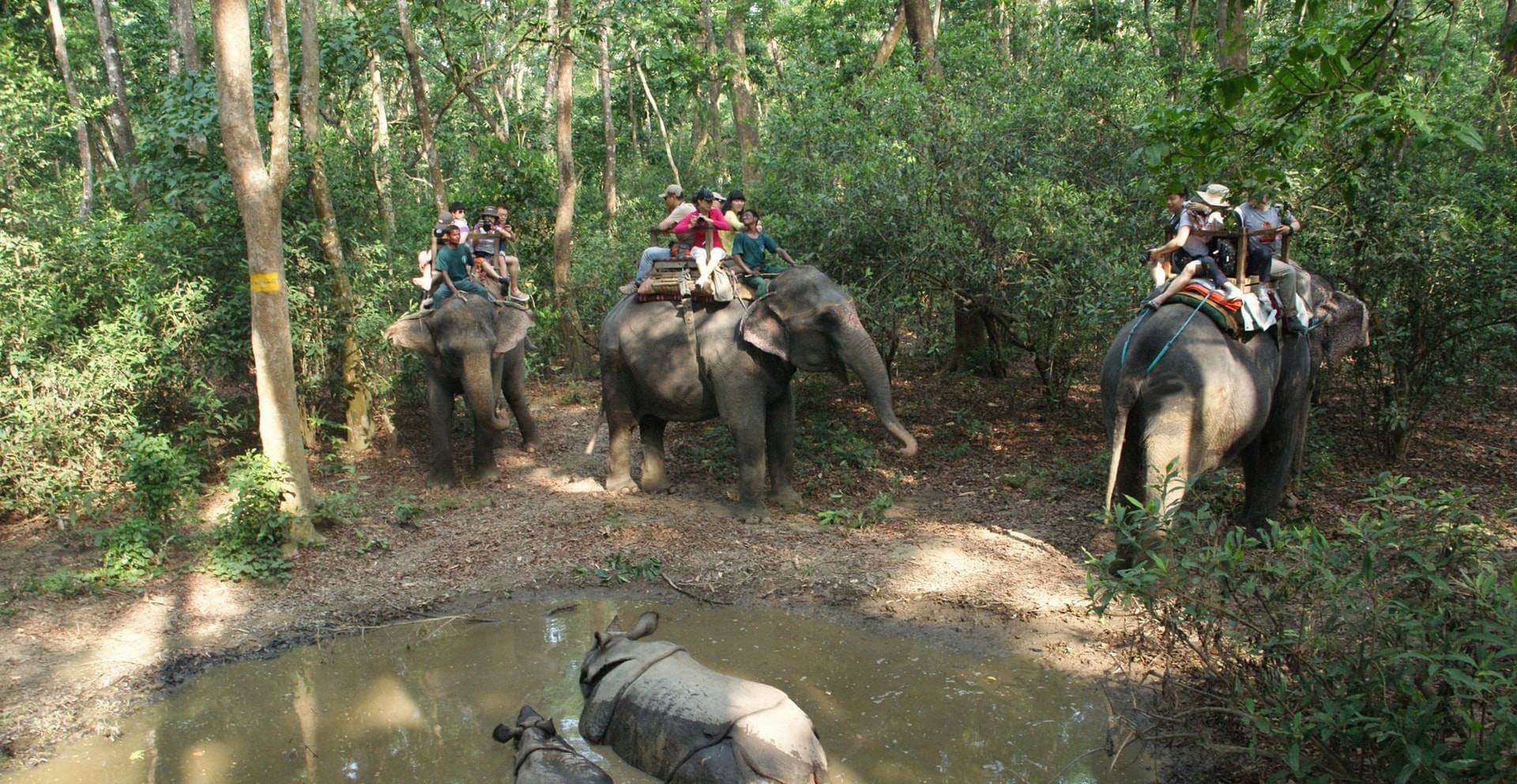 Chitwan Tour